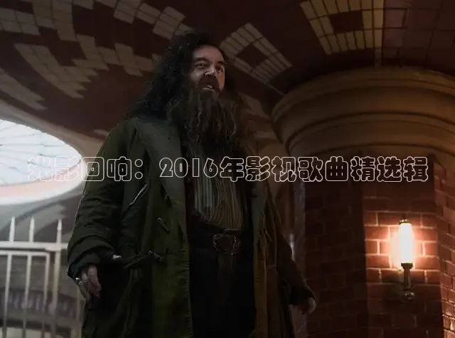光影回响：2016年影视歌曲精选辑