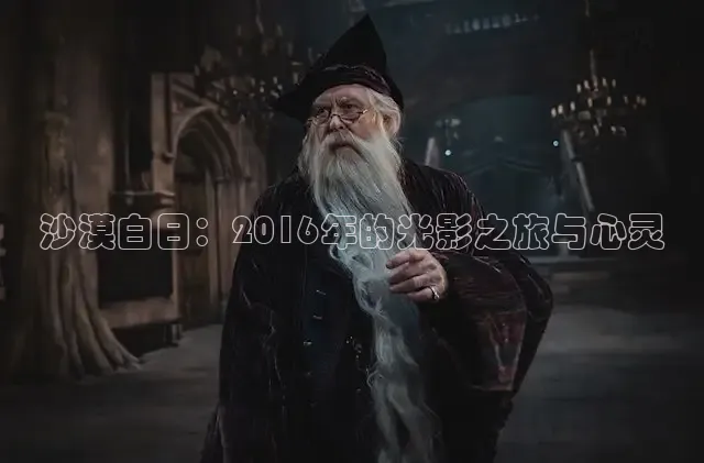 沙漠白日：2016年的光影之旅与心灵