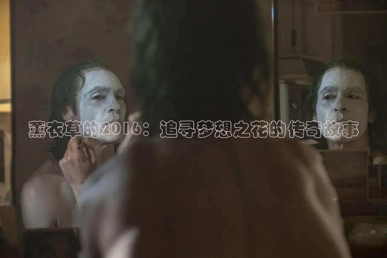 薰衣草的2016：追寻梦想之花的传奇故事